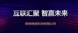 “互聯(lián)聚匯，智贏未來” 2019焦作青峰全網(wǎng)合作峰會(huì)***成功！